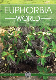 Title  Euphorbia Worl 10(3)