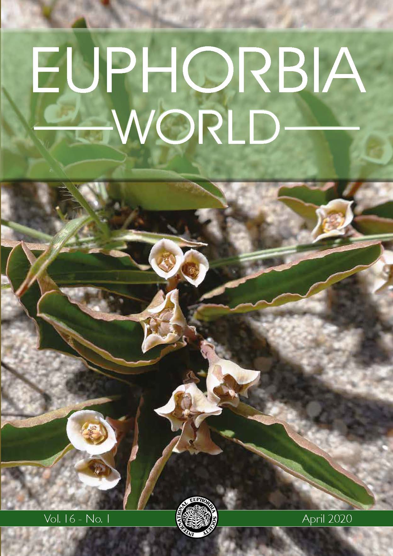 Title  Euphorbia World 15(1)