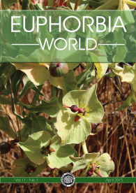 Euphorbia World 11(1) Title